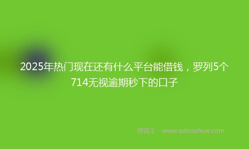 2025年热门现在还有什么平台能借钱，罗列5个714无视逾期秒下的口子