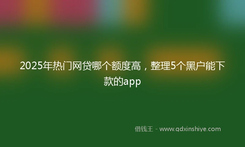 2025年热门网贷哪个额度高，整理5个黑户能下款的app