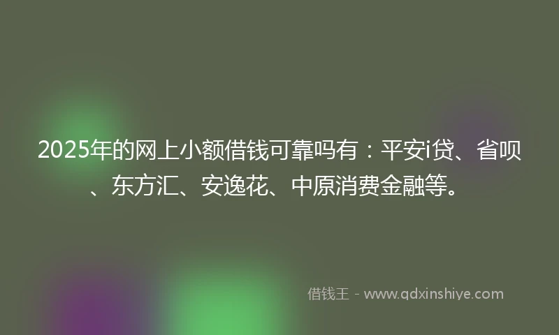 2025年的网上小额借钱可靠吗有：平安i贷、省呗、东方汇、安逸花、中原消费金融等。