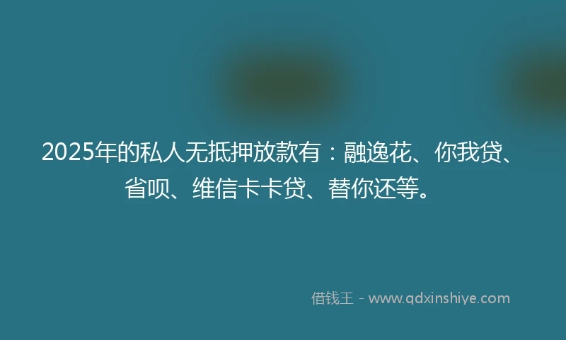 2025年的私人无抵押放款有：融逸花、你我贷、省呗、维信卡卡贷、替你还等。
