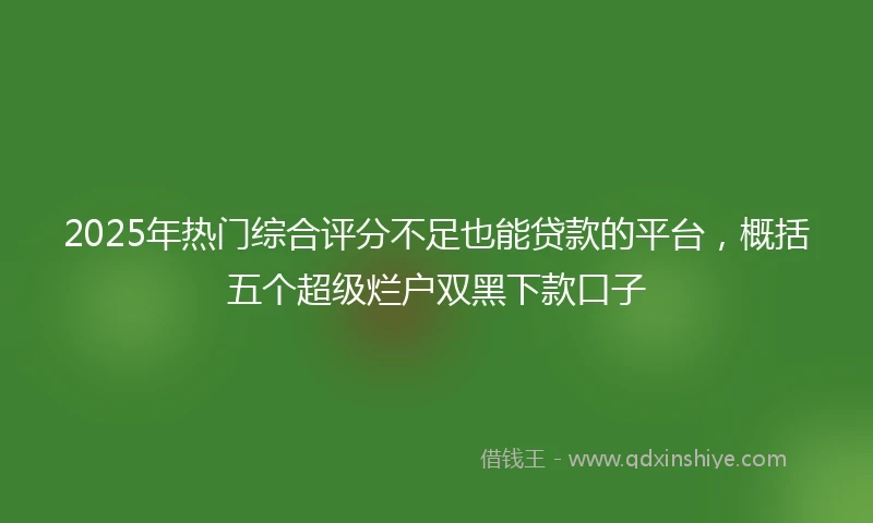 2025年热门综合评分不足也能贷款的平台，概括五个超级烂户双黑下款口子