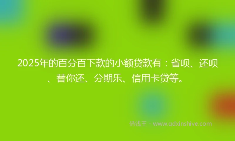 2025年的百分百下款的小额贷款有：省呗、还呗、替你还、分期乐、信用卡贷等。