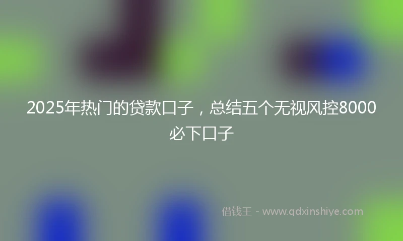 2025年热门的贷款口子，总结五个无视风控8000必下口子