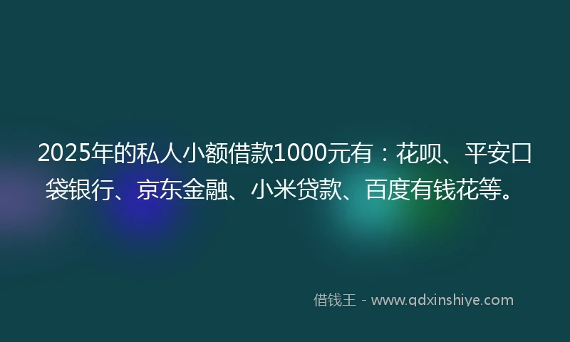 2025年的私人小额借款1000元有：花呗、平安口袋银行、京东金融、小米贷款、百度有钱花等。