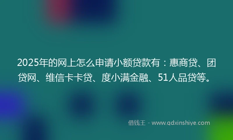 2025年的网上怎么申请小额贷款有：惠商贷、团贷网、维信卡卡贷、度小满金融、51人品贷等。
