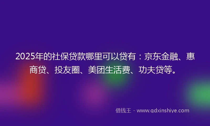 2025年的社保贷款哪里可以贷有：京东金融、惠商贷、投友圈、美团生活费、功夫贷等。