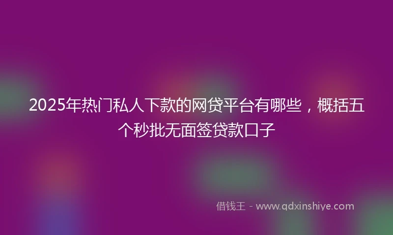2025年热门私人下款的网贷平台有哪些，概括五个秒批无面签贷款口子