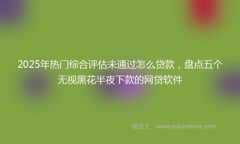 2025年热门综合评估未通过怎么贷款，盘点五个无视黑花半夜下款的网贷软件
