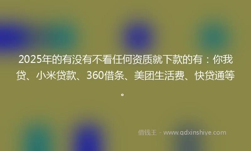 2025年的有没有不看任何资质就下款的有：你我贷、小米贷款、360借条、美团生活费、快贷通等。