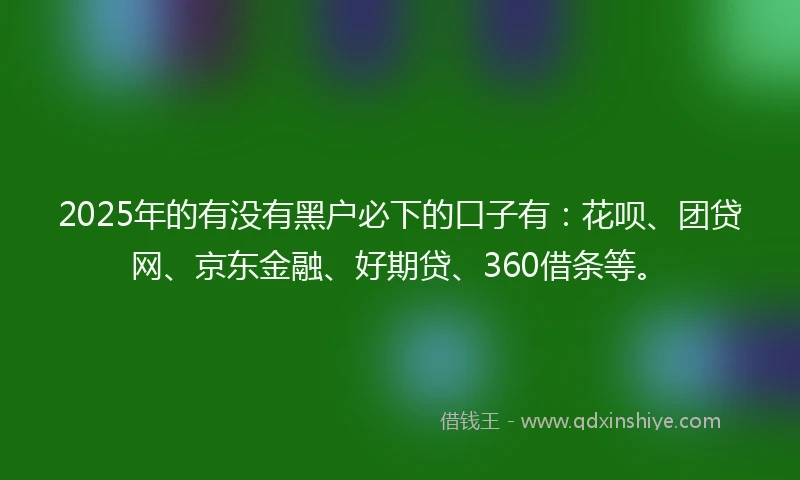 2025年的有没有黑户必下的口子有：花呗、团贷网、京东金融、好期贷、360借条等。