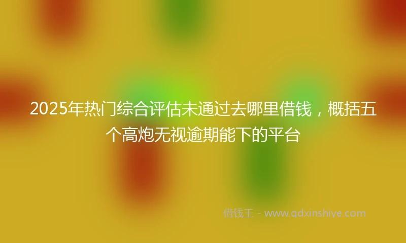 2025年热门综合评估未通过去哪里借钱，概括五个高炮无视逾期能下的平台