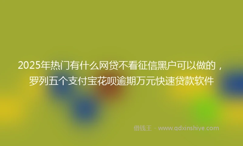 2025年热门有什么网贷不看征信黑户可以做的，罗列五个支付宝花呗逾期万元快速贷款软件