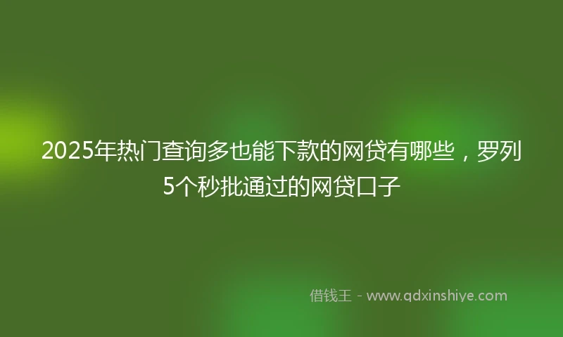 2025年热门查询多也能下款的网贷有哪些，罗列5个秒批通过的网贷口子