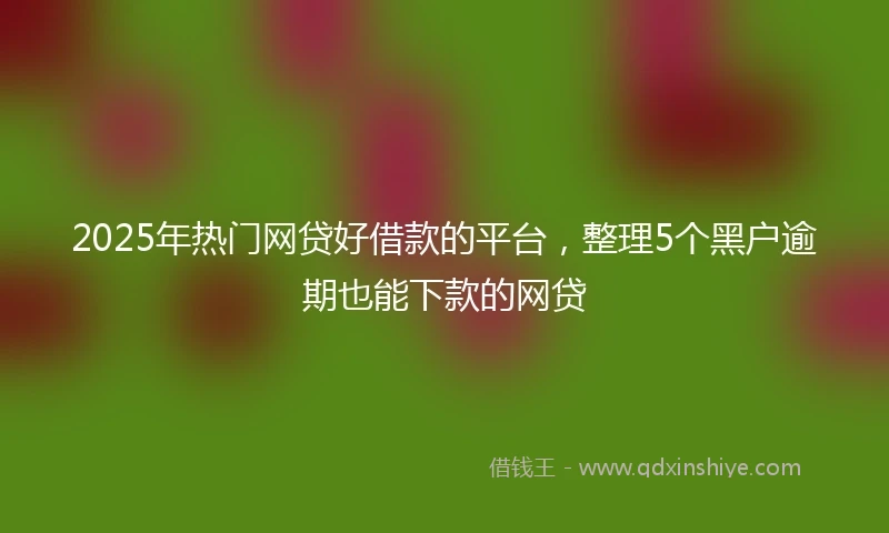 2025年热门网贷好借款的平台，整理5个黑户逾期也能下款的网贷