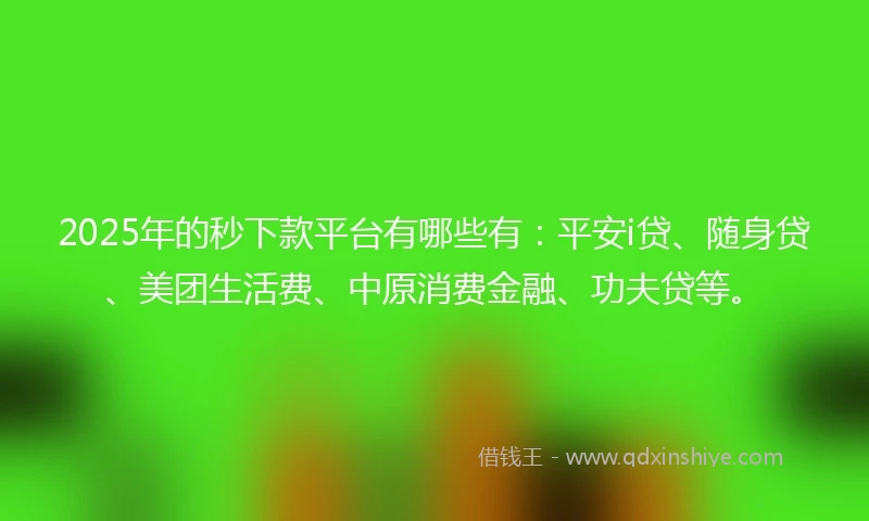 2025年的秒下款平台有哪些有：平安i贷、随身贷、美团生活费、中原消费金融、功夫贷等。