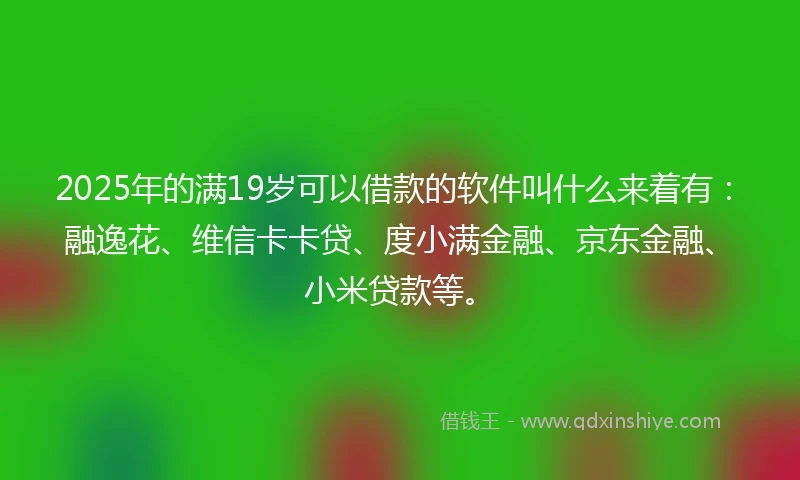 2025年的满19岁可以借款的软件叫什么来着有：融逸花、维信卡卡贷、度小满金融、京东金融、小米贷款等。