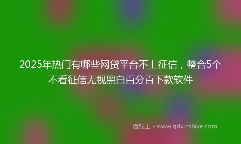 2025年热门有哪些网贷平台不上征信，整合5个不看征信无视黑白百分百下款软件