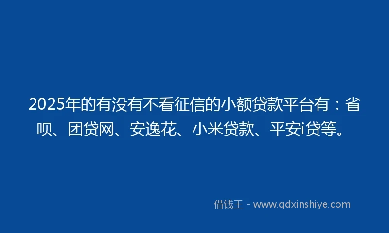 2025年的有没有不看征信的小额贷款平台有：省呗、团贷网、安逸花、小米贷款、平安i贷等。