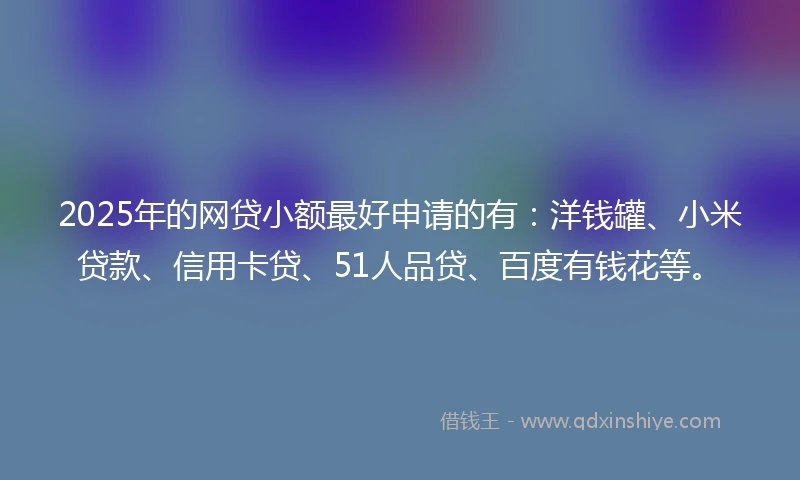 2025年的网贷小额最好申请的有：洋钱罐、小米贷款、信用卡贷、51人品贷、百度有钱花等。