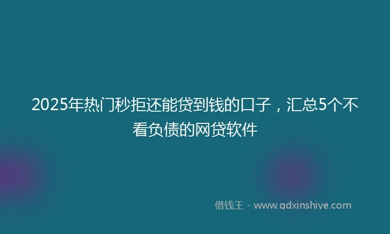 2025年热门秒拒还能贷到钱的口子，汇总5个不看负债的网贷软件