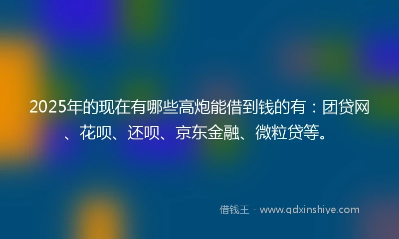 2025年的现在有哪些高炮能借到钱的有：团贷网、花呗、还呗、京东金融、微粒贷等。