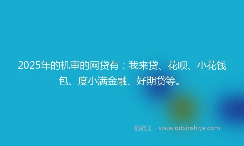 2025年的机审的网贷有：我来贷、花呗、小花钱包、度小满金融、好期贷等。