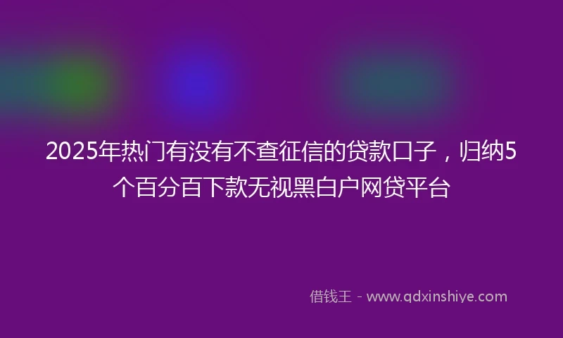 2025年热门有没有不查征信的贷款口子，归纳5个百分百下款无视黑白户网贷平台