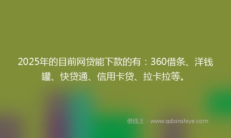 2025年的目前网贷能下款的有：360借条、洋钱罐、快贷通、信用卡贷、拉卡拉等。