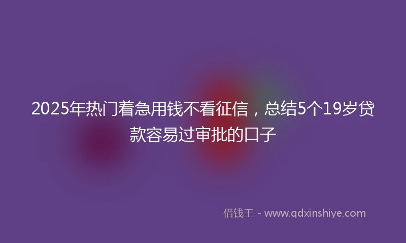 2025年热门着急用钱不看征信，总结5个19岁贷款容易过审批的口子