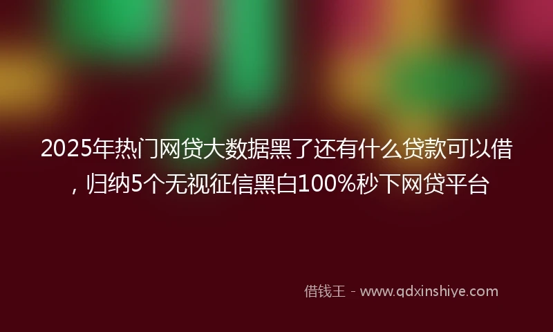 2025年热门网贷大数据黑了还有什么贷款可以借,归纳5个无视征信黑白100%秒下网贷平台