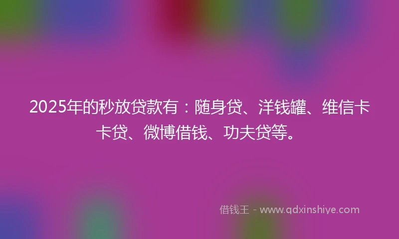 2025年的秒放贷款有：随身贷、洋钱罐、维信卡卡贷、微博借钱、功夫贷等。