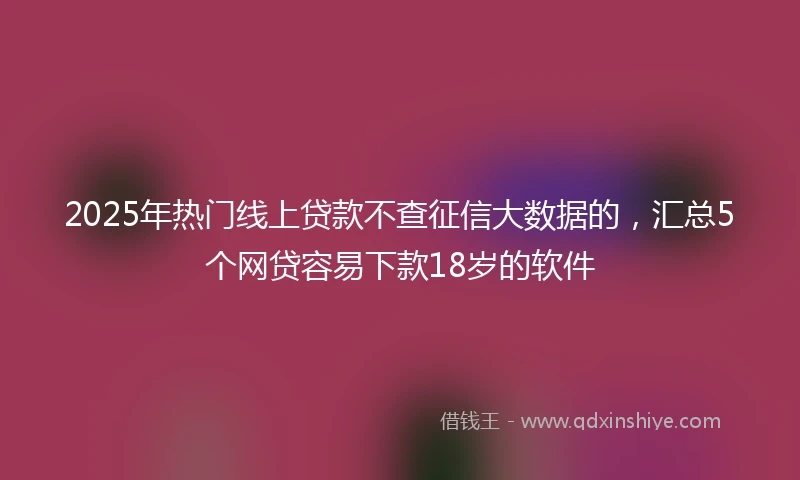 2025年热门线上贷款不查征信大数据的，汇总5个网贷容易下款18岁的软件