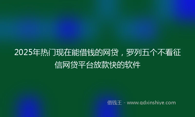 2025年热门现在能借钱的网贷，罗列五个不看征信网贷平台放款快的软件