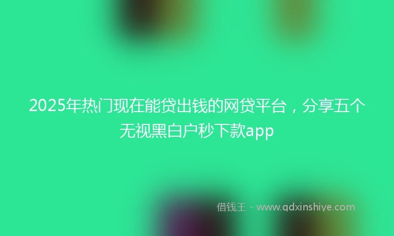 2025年热门现在能贷出钱的网贷平台，分享五个无视黑白户秒下款app