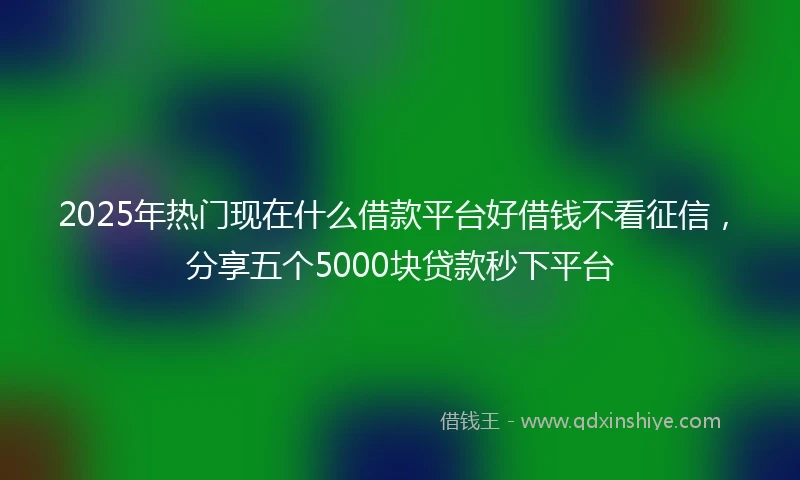 2025年热门现在什么借款平台好借钱不看征信，分享五个5000块贷款秒下平台