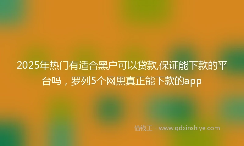 2025年热门有适合黑户可以贷款,保证能下款的平台吗，罗列5个网黑真正能下款的app