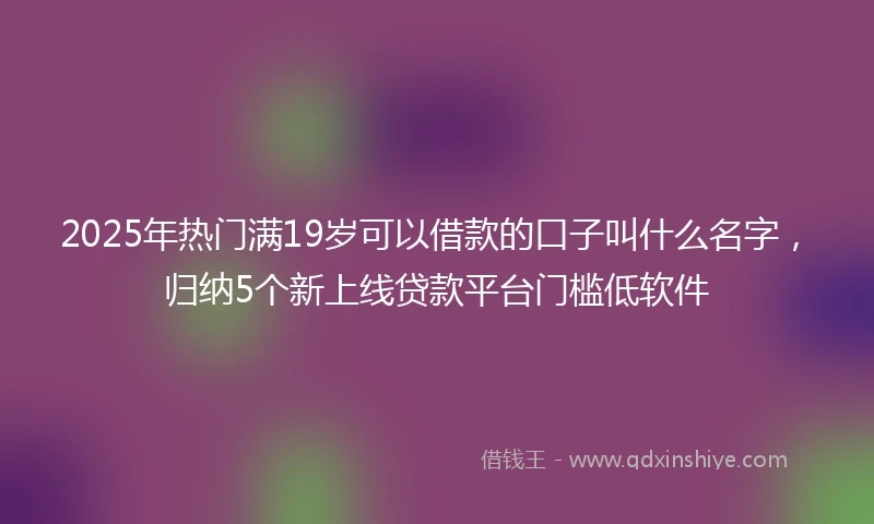 2025年热门满19岁可以借款的口子叫什么名字，归纳5个新上线贷款平台门槛低软件