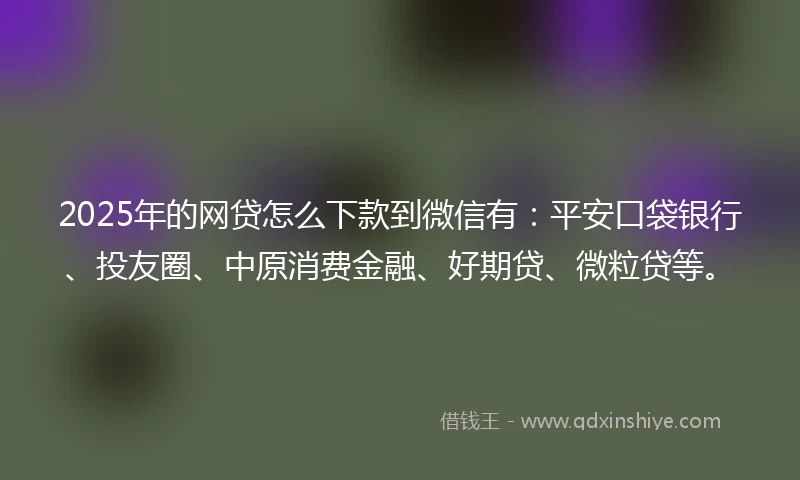 2025年的网贷怎么下款到微信有：平安口袋银行、投友圈、中原消费金融、好期贷、微粒贷等。