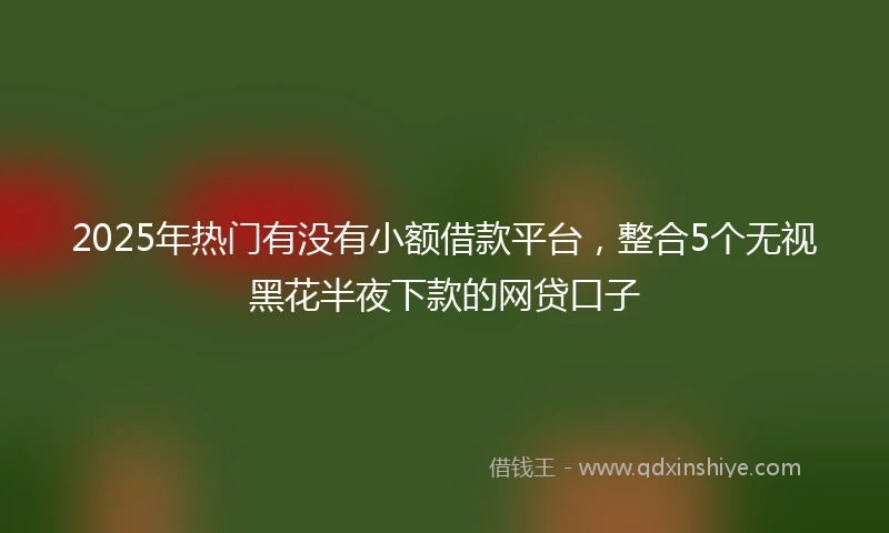 2025年热门有没有小额借款平台，整合5个无视黑花半夜下款的网贷口子