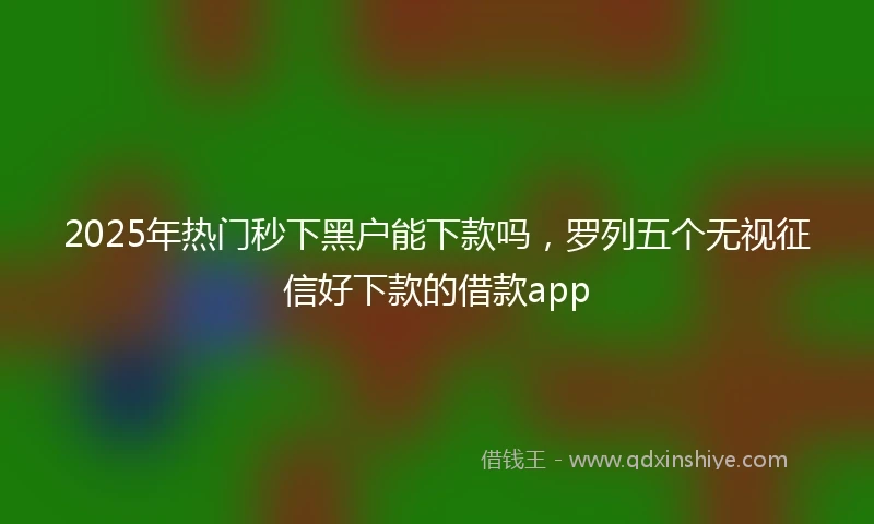 2025年热门秒下黑户能下款吗，罗列五个无视征信好下款的借款app