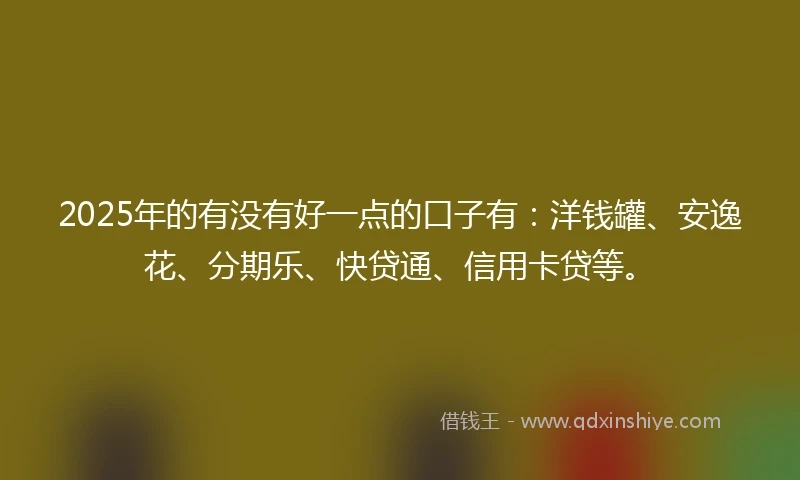 2025年的有没有好一点的口子有：洋钱罐、安逸花、分期乐、快贷通、信用卡贷等。