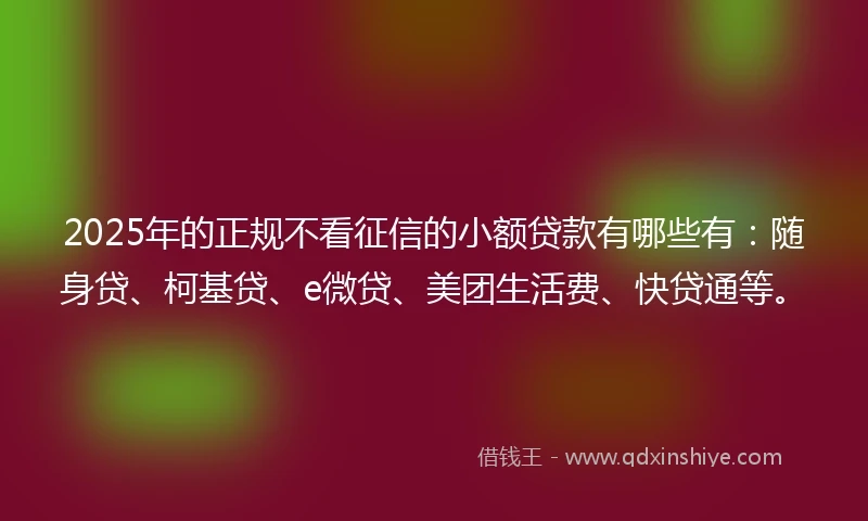 2025年的正规不看征信的小额贷款有哪些有：随身贷、柯基贷、e微贷、美团生活费、快贷通等。
