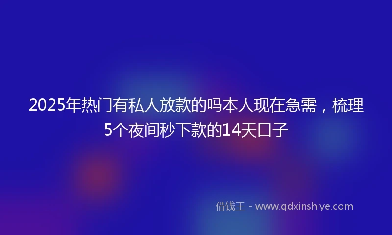2025年热门有私人放款的吗本人现在急需，梳理5个夜间秒下款的14天口子
