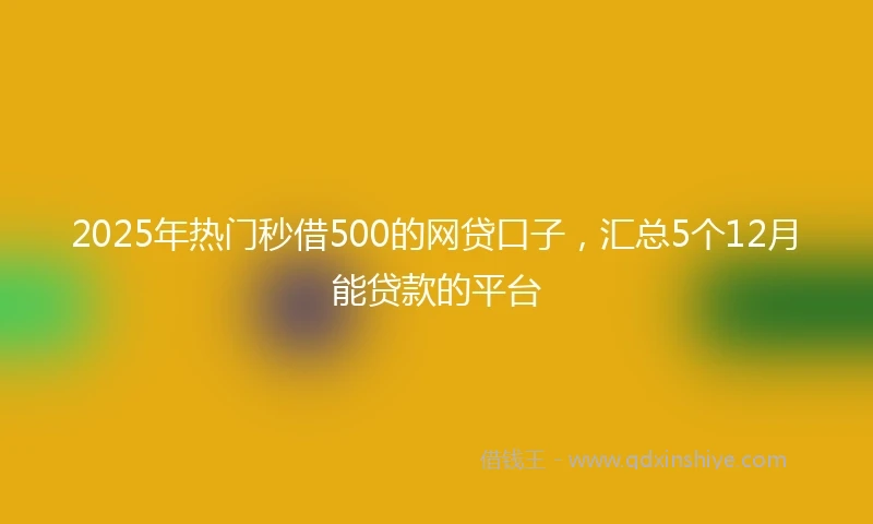 2025年热门秒借500的网贷口子，汇总5个12月能贷款的平台
