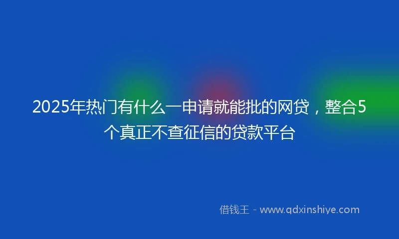2025年热门有什么一申请就能批的网贷，整合5个真正不查征信的贷款平台