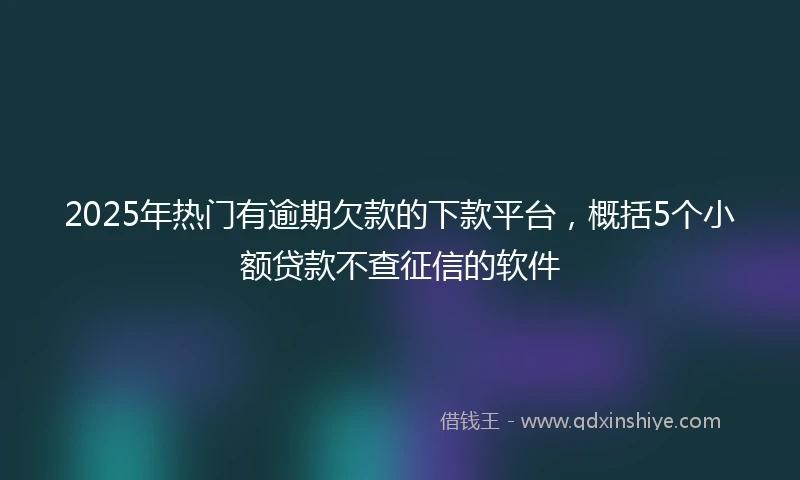 2025年热门有逾期欠款的下款平台，概括5个小额贷款不查征信的软件