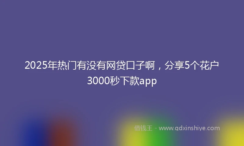 2025年热门有没有网贷口子啊，分享5个花户3000秒下款app