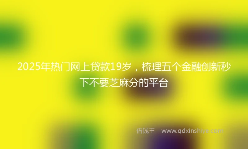 2025年热门网上贷款19岁，梳理五个金融创新秒下不要芝麻分的平台