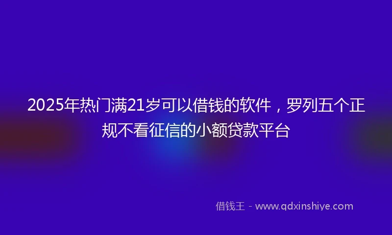 2025年热门满21岁可以借钱的软件，罗列五个正规不看征信的小额贷款平台