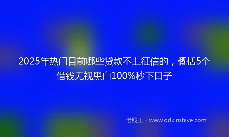 2025年热门目前哪些贷款不上征信的，概括5个借钱无视黑白100%秒下口子